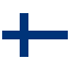suomen kieli